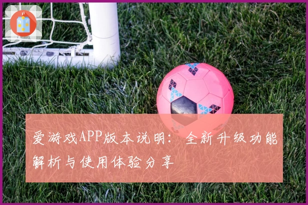 爱游戏APP版本说明：全新升级功能解析与使用体验分享