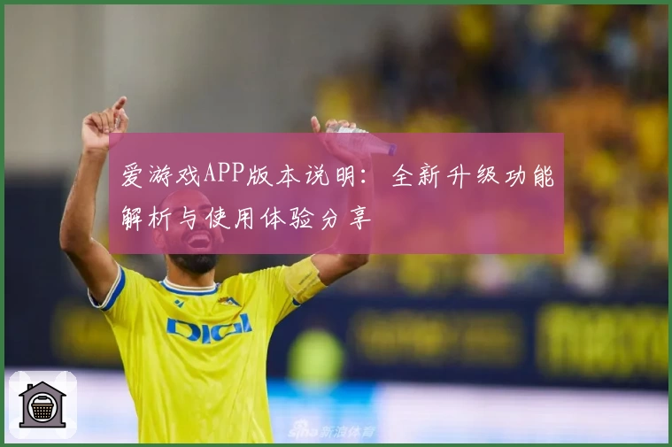 爱游戏APP版本说明：全新升级功能解析与使用体验分享